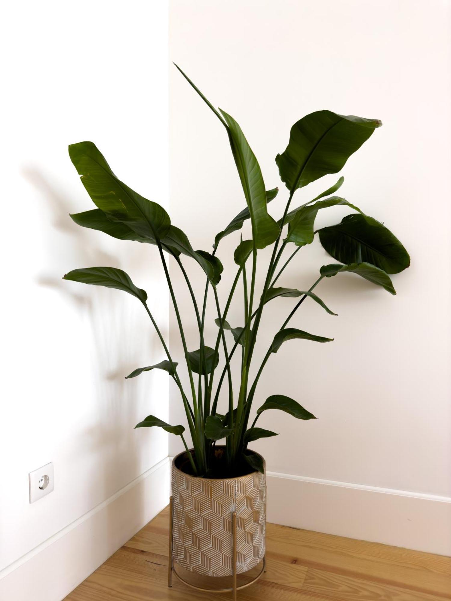 Апартаменты Vibrant Host Solutions-Bonfim Порту Экстерьер фото